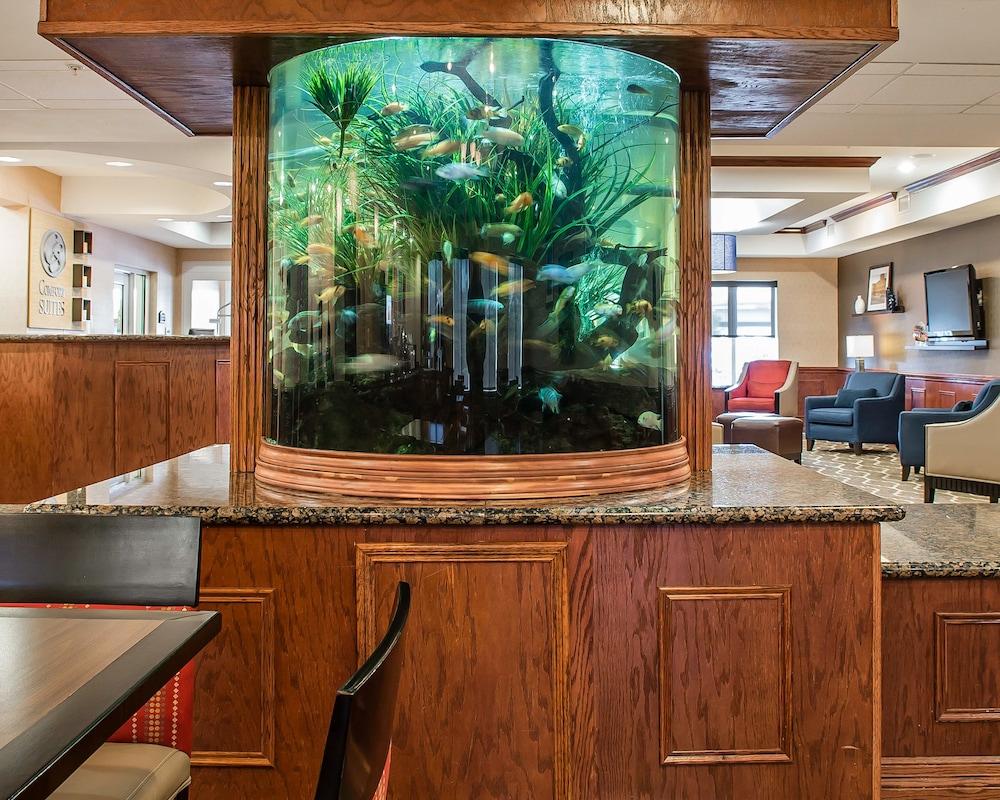 Comfort Suites Near Texas A&M - Corpus Christi  Kültér fotó